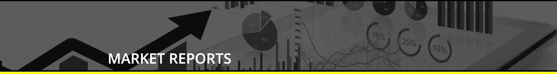 Market Reports image header